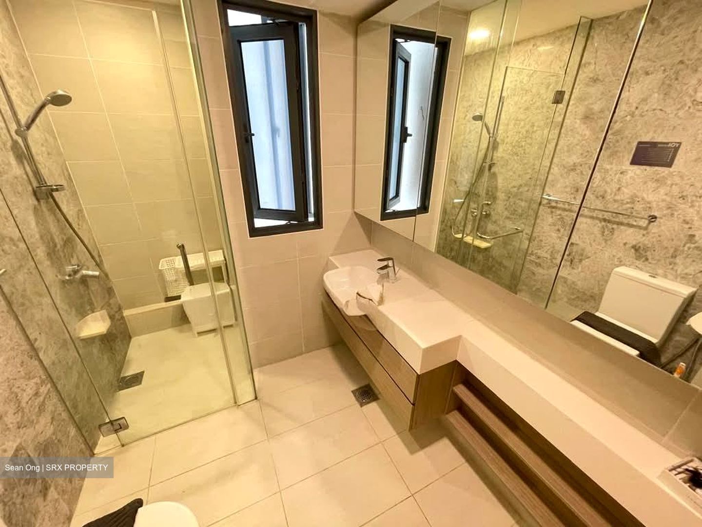 The Lakefront Residences (D22), Condominium #565049501
